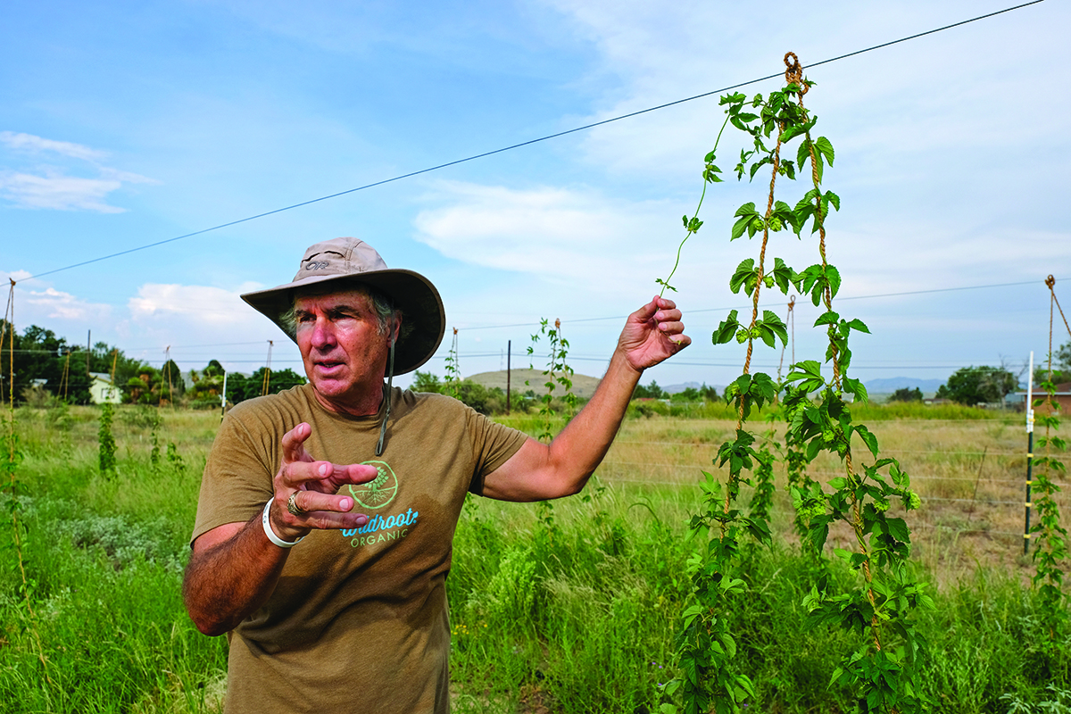 High Desert Hops