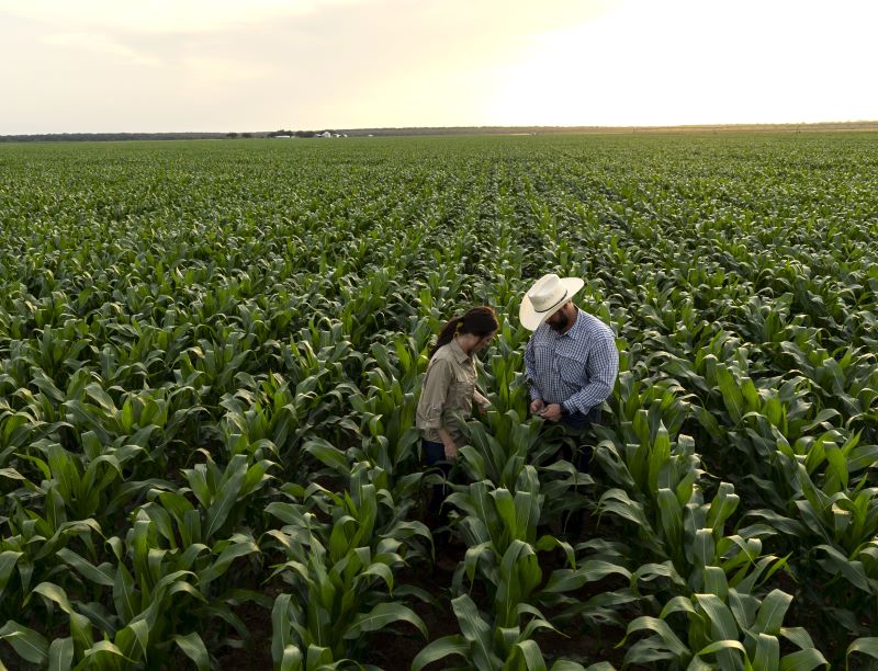 Celebrating Farmers: The History Of National Farmer's Day | Capital ...